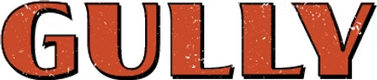 Gully client logo