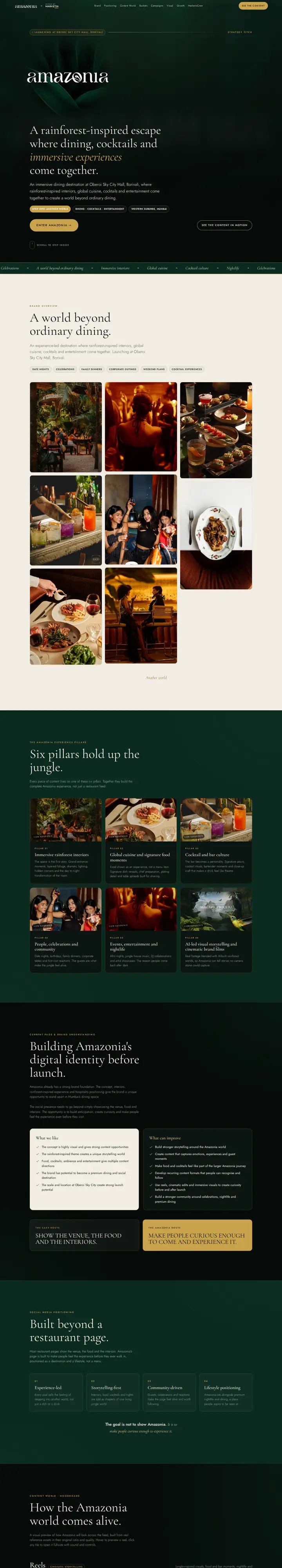 The Amazonia pitch site